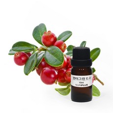 윈터그린 E.O 10ml / 에센셜 오일 /비누만들기 화장품만들기, 1개