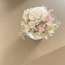 乾燥花裝飾, 白色索拉花