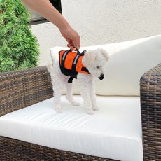 강아지구명조끼 애견 구명조끼 강아지 수영복 수영장 물놀이 XXS~XL 소형견 중형견 대형견, 오렌지_M, 1개