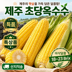 [재구매율1위 간지농부] 2026 국산 제주도 초고당도 초당옥수수, 10개, 특품 1박스