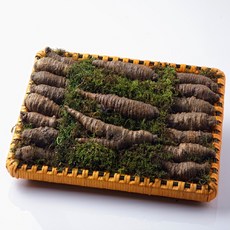 더100년 토종 더덕 VVIP 4호 선물세트 [더덕 800g (특상)], 단품