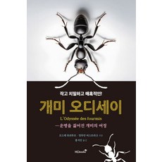 개미 오디세이, 오드레 뒤쉬투르, 앙투안 비스트라크(저) / 홍지인.., 힘찬북스, 오드레 뒤쉬투르,앙투안 비스트라크 저/홍지인 역