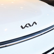 비브랜드 트렁크 엠블럼 레터링 기스방지 필름 핸들 로고 카본 홀로그램 스티커 EV5 호환용품, 헤어라인블랙