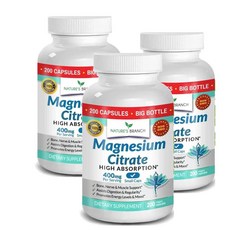 네이처스브랜치 구연산 마그네슘 시트레이트 400mg 캡슐 Nature's Branch Magnesium Citrate, 3개, 200정