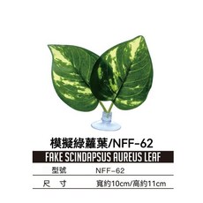 凱盛 模擬春色地瓜葉, [nff-62]綠蘿, 1個