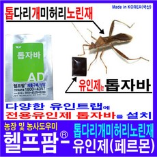 헬프팜 톱다리개미허리 톱자바 1개 노린재 유인제 페르몬
