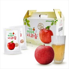 햇살듬뿍 사과즙, 100ml, 50개