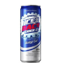 얼박사 얼음 박카스 사이다 355ml, 48개