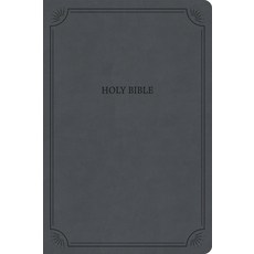 (영문도서) NASB Large Print Thinline Bible Value Edition Charcoal Leathertouch Imitation Leather, Holman Bibles, English, 9798384518006