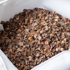 변산메밀 국산 메밀껍질, x, 1개, 10kg