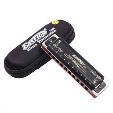 Diatonic Blues 하모니카 10홀 블루스 20톤 블랙 T008K 케이스 포함 초보자 학생 성인 및 프로 플레이어 더 전문적인 F의 키 242158, C 키