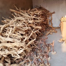 파충류 유목 드리프트우드 파충류유목 수초디스플레이 줄기, 1개, 드래곤 패턴 빈 나무 30-35cm