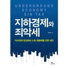 地下經濟與罪惡稅:地下經濟正規化與收入再分配的提案, 思想的飛翔