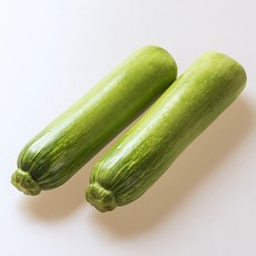 늘바른 국산 친환경 무농약 애호박 3개, 단품, 단품