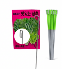 DEEP 식물 이름표 클립 50cm 대형 10개 화분 이름표 꽂이 원예 라벨, 연두