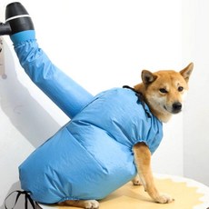 애견드라이어복 드라이룸 애견목욕 강아지 건조복 애견목욕복, M(5kg-10kg), M(5kg-10kg), 1개