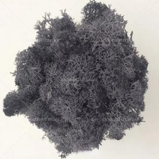 인공 녹색 식물 영원한 생명 DIY 잔디 홈 룸 미니 가짜 50g, 21)10g, Dark gray
