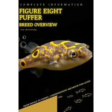 (영문도서) Figure eight puffer: From Novice to Expert. Comprehensive Aquarium Fish Guide Paperback, Independently Published, English, 9798397825412