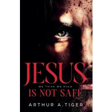 (영문도서)Jesus Is Not Safe: The Jesus We Think We Know - and the One the Gospels Reveal Paperback