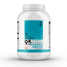 프롬셀 95아이솔레이트 WPI 단백질 카페모카맛, 2kg, 1개