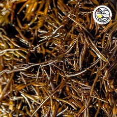 완도 염장 톳 2kg, 1개