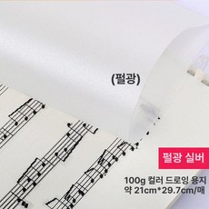 컬러 트레이싱지 트레싱지 용지 다꾸 스크랩북 공예, 1개, A4 100g 펄실버 20장