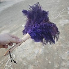 鴕鳥毛撣子除塵掃灰不掉毛雞毛撣子家用清潔靜電除塵撣子神器, 1個, 短柄櫸木駝羽撣【凝夜紫】約30cm:如圖
