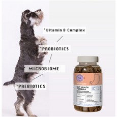 [펫턴] 마이크로신AH 펫 영양제 도그 장 건강 유산균 소화건강 무항생제 120g 당일출고배송, 1개