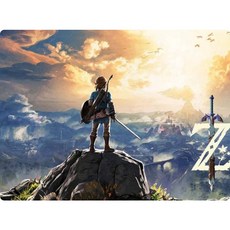 塞爾達傳說：荒野之息丨The Legend of Zelda： Breath of the Wild