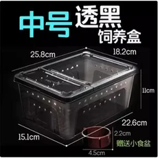파충류 사육 상자 탈출 방지 이중문 수생용 소형 중형 대형 거미 및 애호가용 할로윈 선물, 06 M