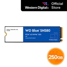[공식판매점] WD BLUE SN580 M.2 NVMe SSD, 250GB, 단품