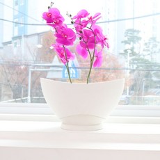 담따 타원형화분 플랜트 바운스라인300 아이보리 서양난화분 난분(플라스틱과 나무의 융합으로 만든 화분), 1개