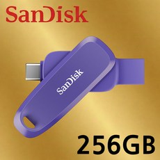 샌디스크 USB 메모리 Phone Drive C타입 OTG 3.2 USB OTG C6 퍼플, 1개, 256GB