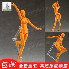 인형 드로잉 구체 인체 근육 모형 미대생선물 관절인형 인체모형 마네킹 커스텀 피규어, G.페미닌보디(오렌지기념에디션약13CM), 1개