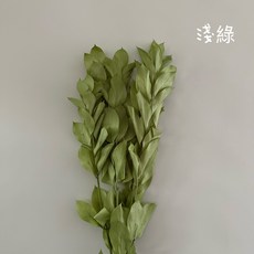 花藝夢*不凋玉竹葉 整把販售 單色 漸變玉竹葉 永生花 乾燥花 不凋花 現貨, 淺綠