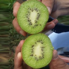 국내산 참다래 그린키위 비타민 풍부한 제철 과일, 3kg, 중과(90g내외), 1개, 3kg 중과(80~90g 내외),