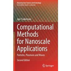 Computational Methods for Nanoscale Applications: Particles Plasmons and Waves Hardcover, Springer
