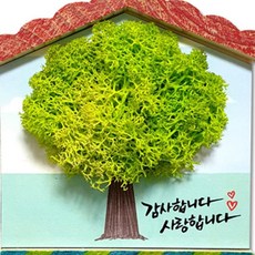 지붕 감사엽서 스칸디아 벽걸이 스칸디아모스인테리어