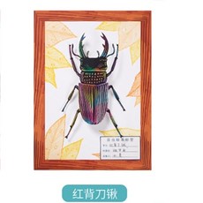 昆蟲刮畫 刮刮畫 兒童自學 兒童手作材料包 兒童彩繪材料包 兒童手工勞作 夏令營 露營遊戲 戶外勞作 國小美勞課材包, 1個, 紅背刀揪(超取最多80個)