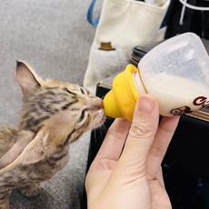 日本森乳幼貓幼犬奶瓶 可煮沸消毒寵物奶瓶, 加購玻璃奶瓶60ml, 1個