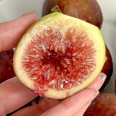 (무농약/GAP) 당일수확 산지직송 나무에서 끝까지 익힌 고당도 전남 해남 홍무화과, 1개, 2kg