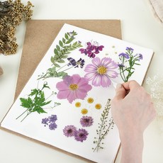 프레스코21 압화만들기 압화건조매트 압화 도구 프레스 공예 원예수업 미니 풀세트 국내산