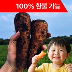 [환불보장] 제주 구좌 당근 2025 흙당근, 1박스, 5kg (중품)