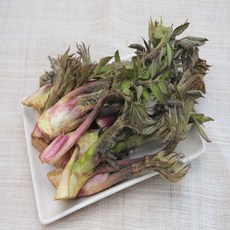 강원도 땅 두릅 500g, 1개