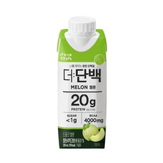 빙그레 더 단백 멜론, 250ml, 2개