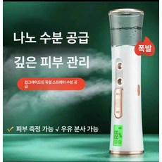 얼굴 스팀기 페이스 스티머 모공 관리 스프레이 분무, 화이트, 기본 모델명/품번