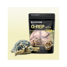 지렙 파충류 비타민제 녹십자수의약품, 80g, 1개
