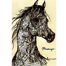 (英文書籍)Musāafir. 平裝版, 獨立出版, 英文