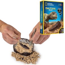 티라노이빨 화석캐기 발굴 키트 장난감 8세 엄마랑 교구 선물 고고학, 상세페이지 참조