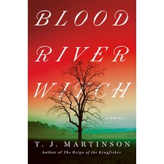 (영문도서)Blood River Witch Hardcover, Counterpoint LLC, English, 9781640097421